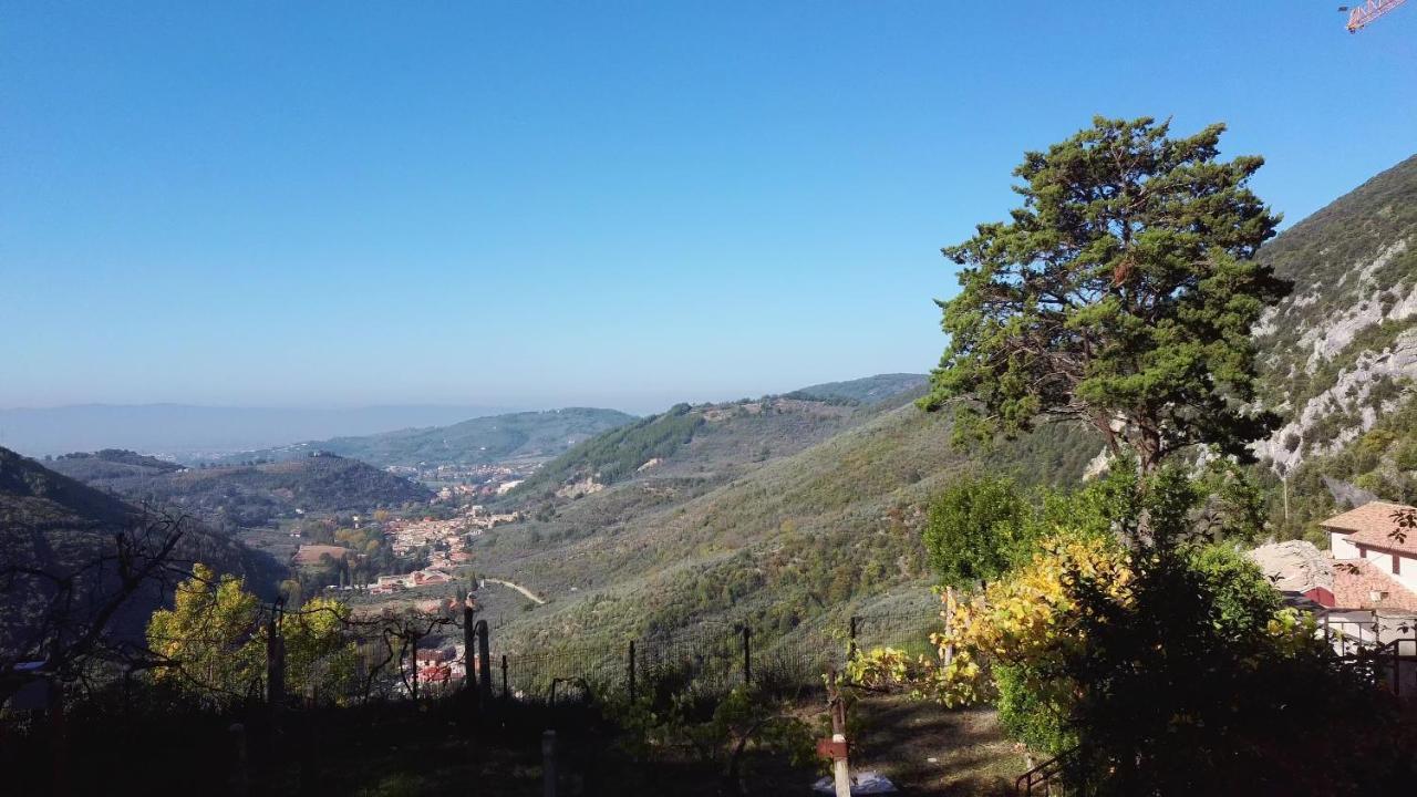 I Pini E Il Ciliegio * Pale