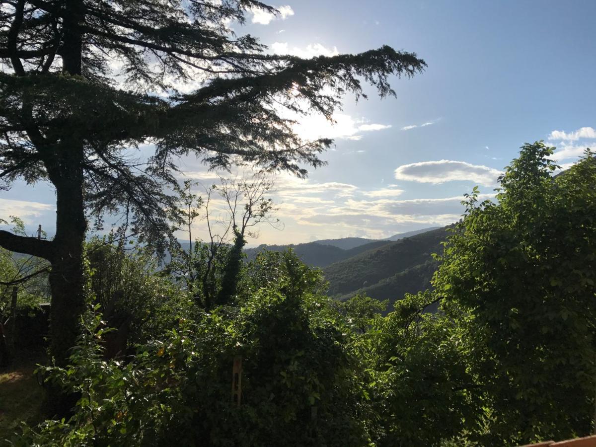 Casa vacanze I Pini E Il Ciliegio *
