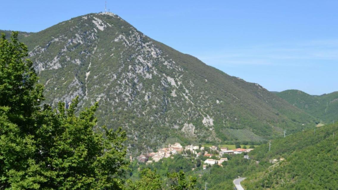 I Pini E Il Ciliegio Holiday home Pale