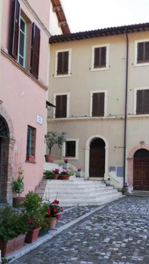I Pini E Il Ciliegio * Pale