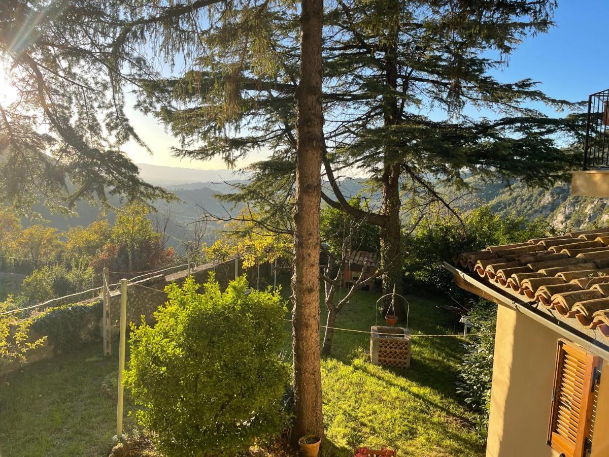 I Pini E Il Ciliegio Holiday home