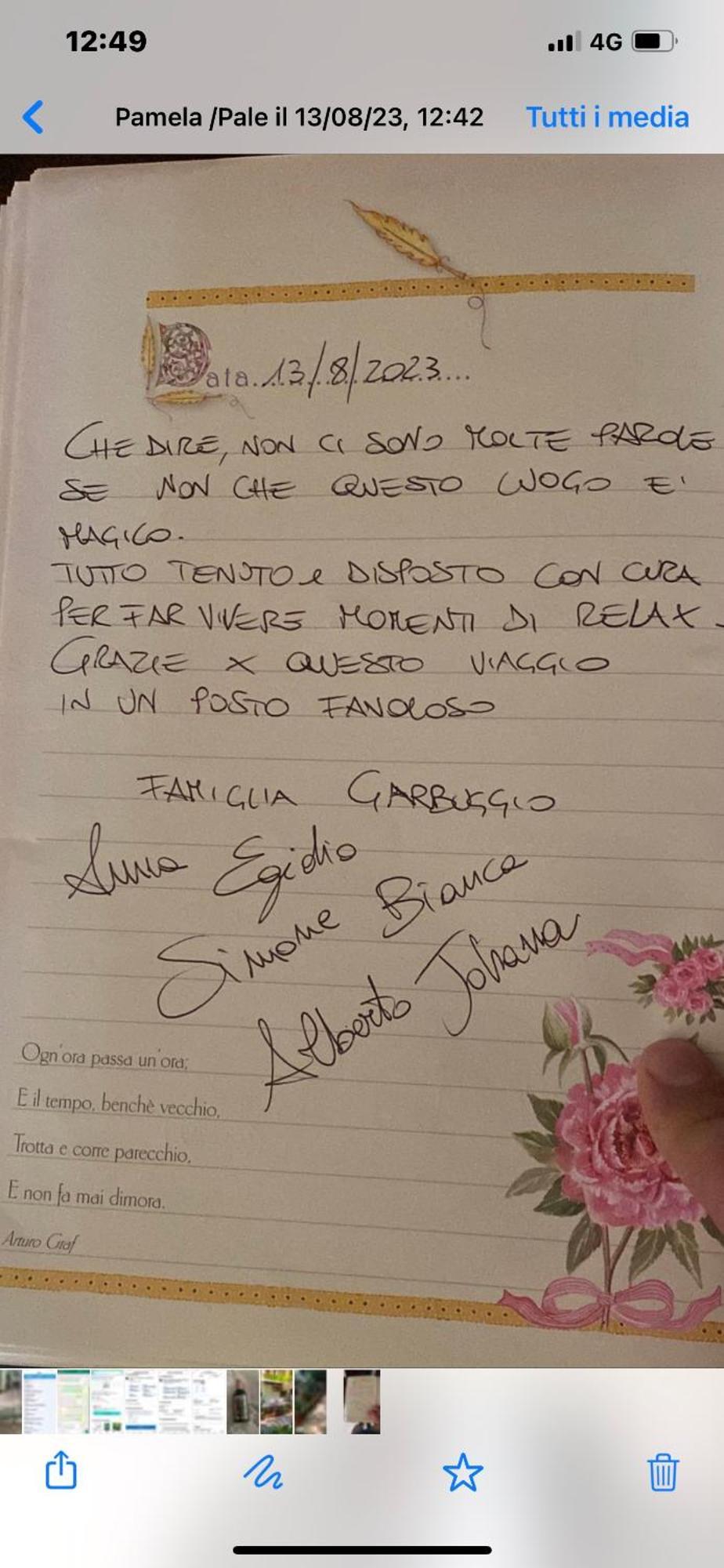 I Pini E Il Ciliegio Pale